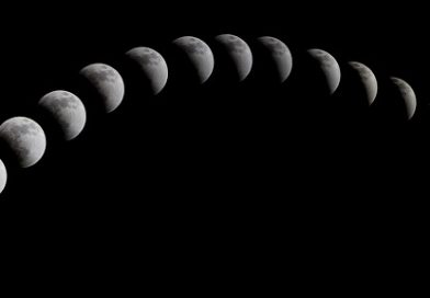 Différences entre l&rsquo;œstrus et l&rsquo;ovulation