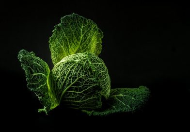 Différence entre le thé vert et le thé noir