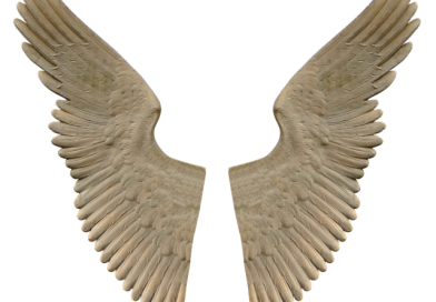 Différence entre religion et spiritualité